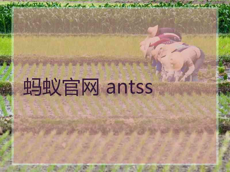 蚂蚁官网 antss