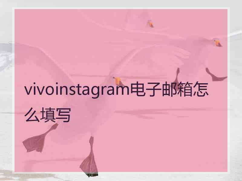 vivoinstagram电子邮箱怎么填写