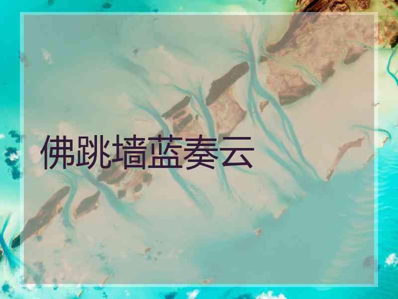 佛跳墙蓝奏云