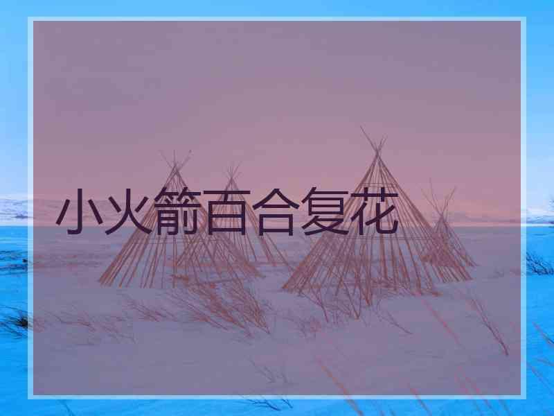 小火箭百合复花