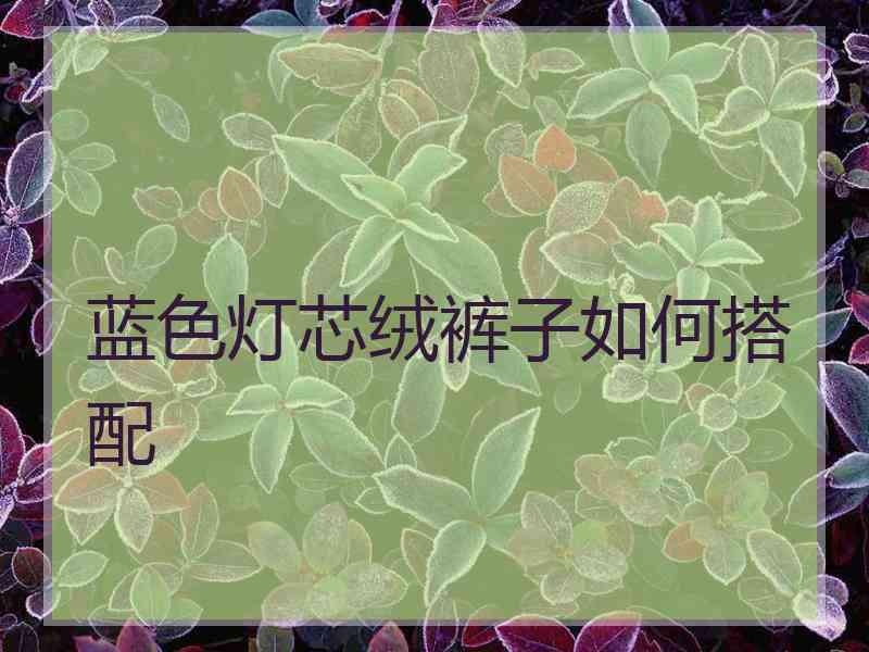 蓝色灯芯绒裤子如何搭配
