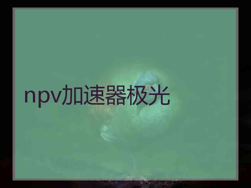 npv加速器极光