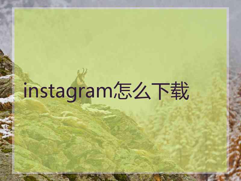 instagram怎么下载