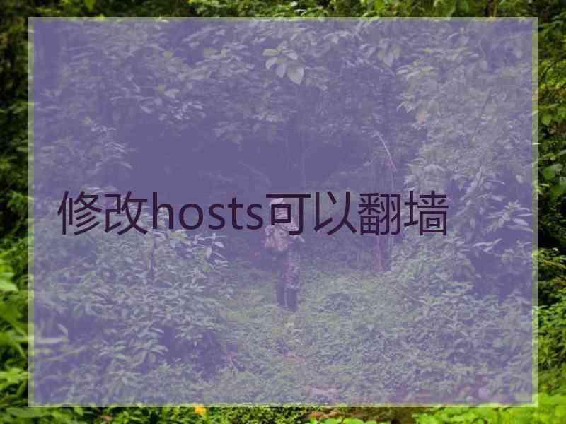 修改hosts可以翻墙