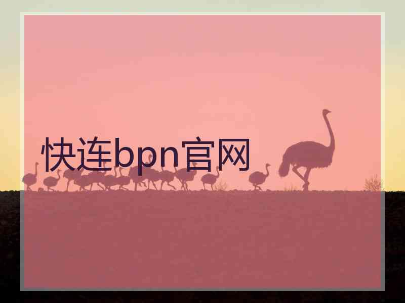 快连bpn官网