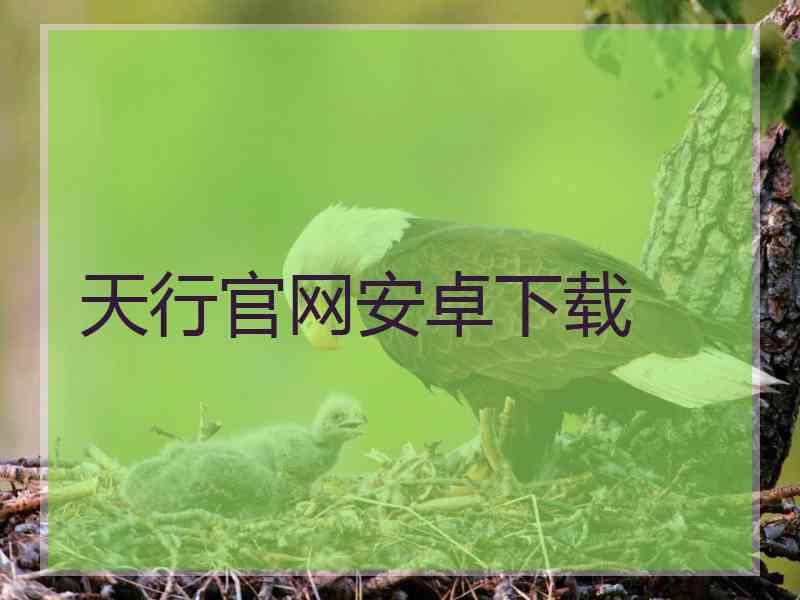 天行官网安卓下载