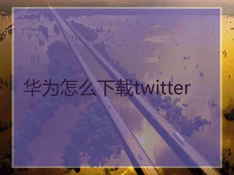 华为怎么下载twitter