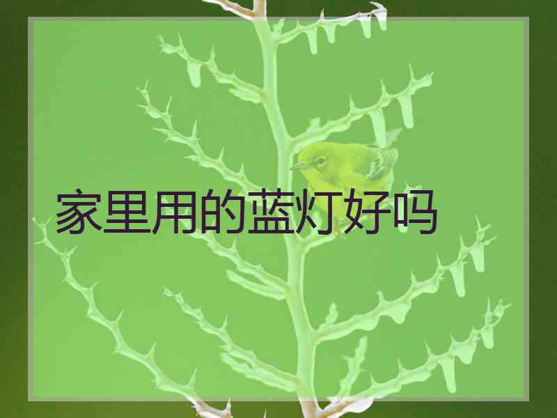 家里用的蓝灯好吗