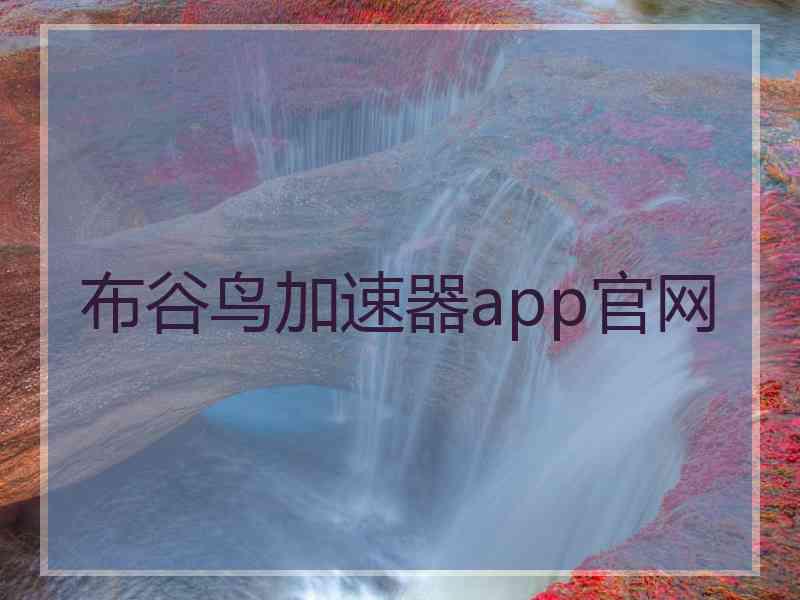 布谷鸟加速器app官网