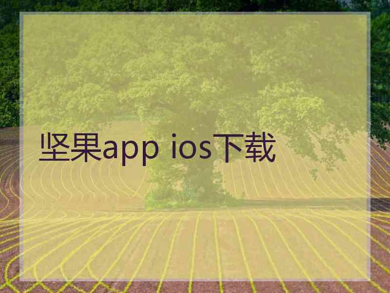 坚果app ios下载