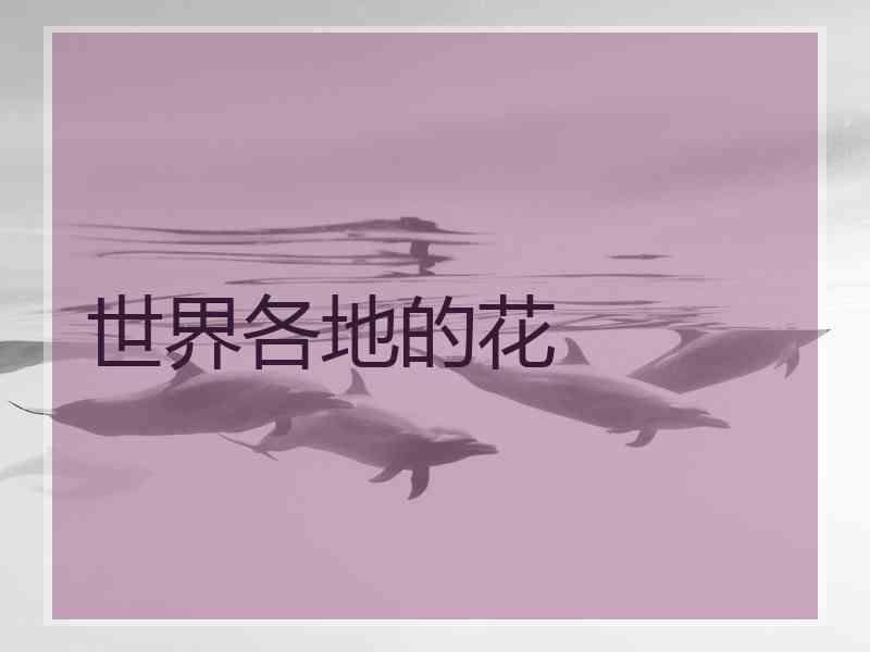 世界各地的花