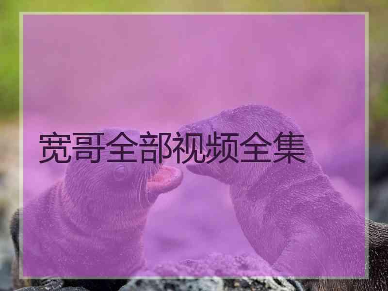 宽哥全部视频全集