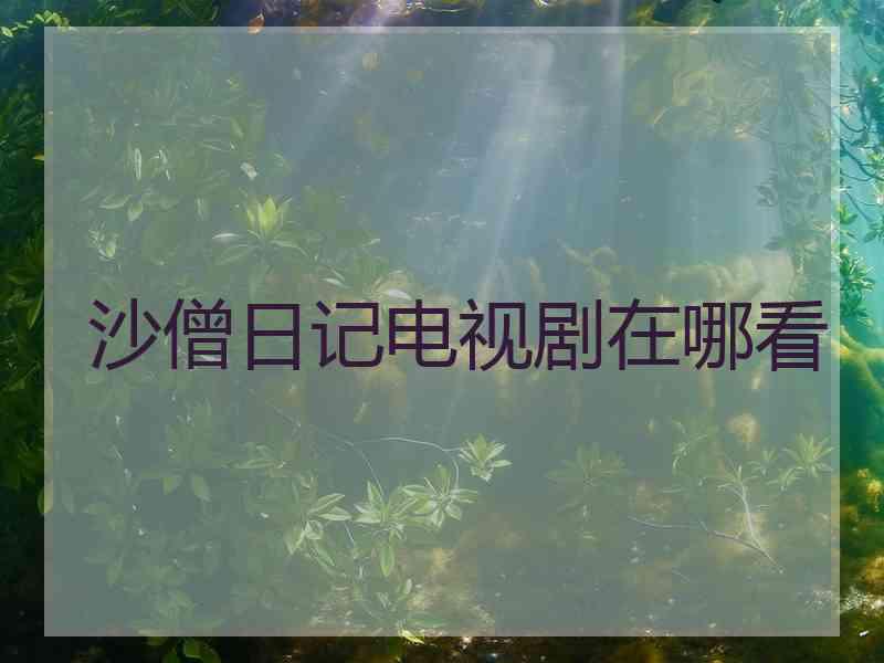 沙僧日记电视剧在哪看
