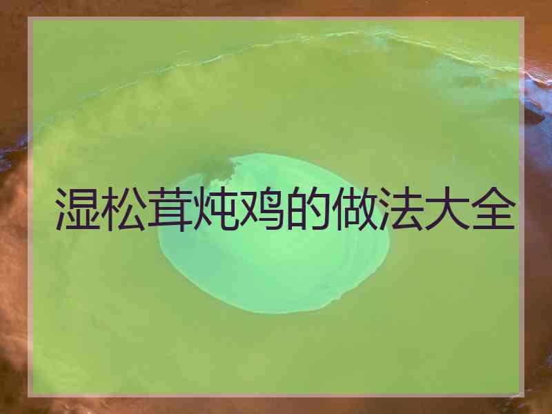 湿松茸炖鸡的做法大全