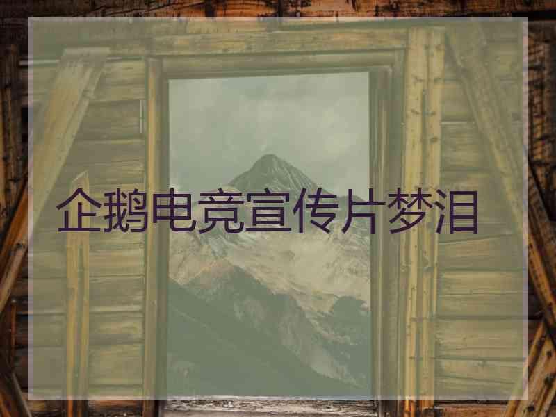 企鹅电竞宣传片梦泪