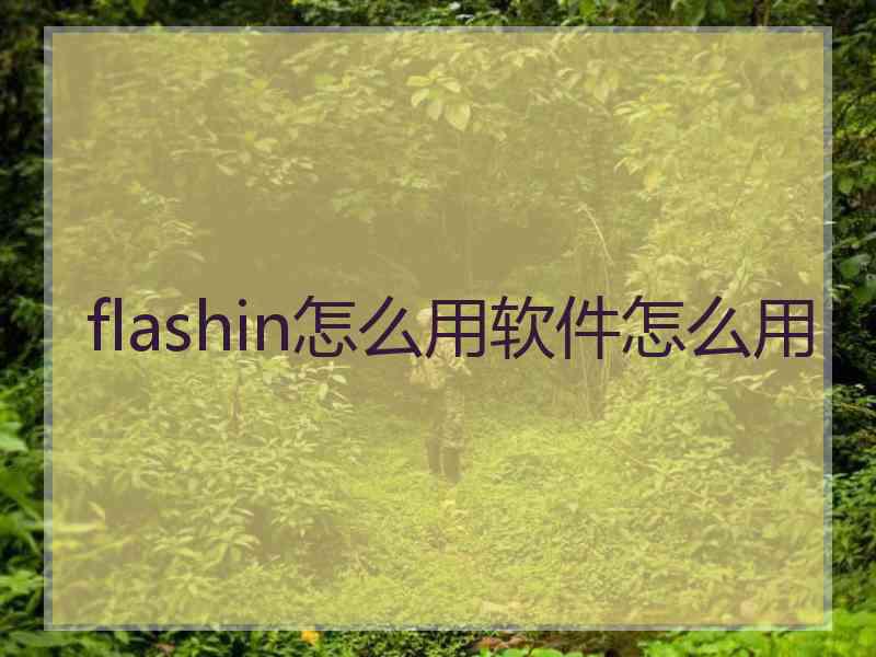 flashin怎么用软件怎么用