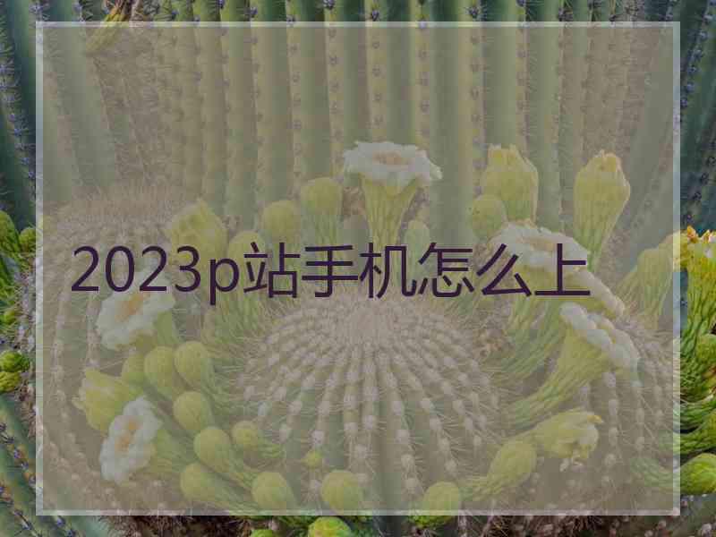 2023p站手机怎么上