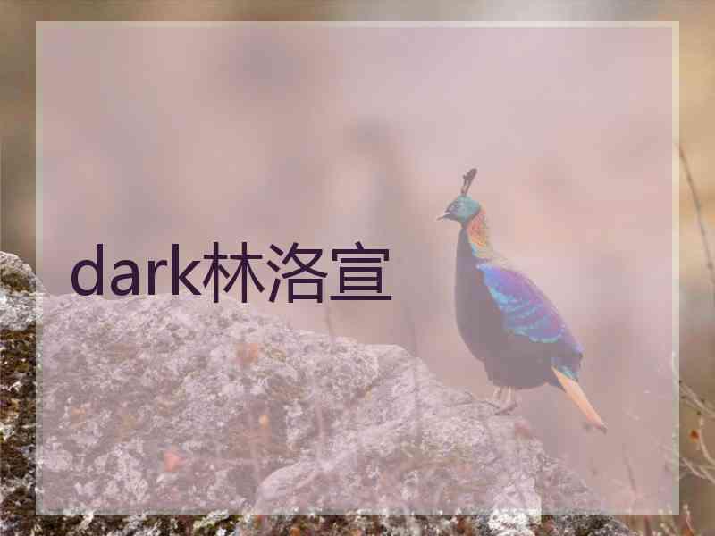 dark林洛宣