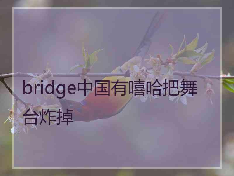 bridge中国有嘻哈把舞台炸掉