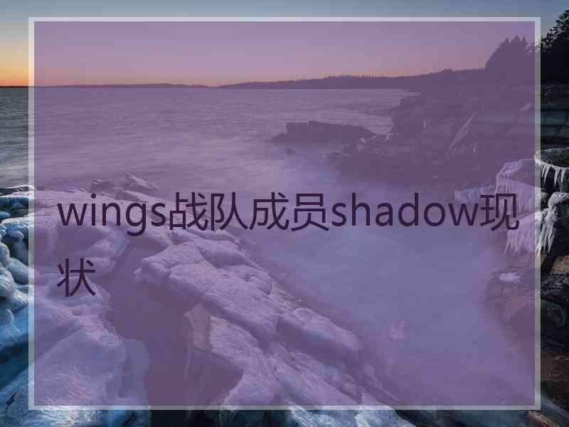 wings战队成员shadow现状