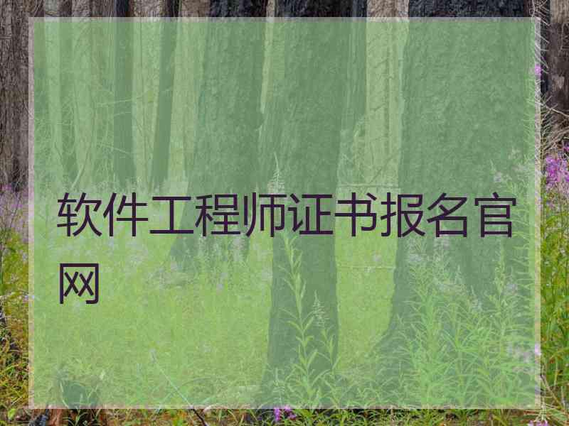软件工程师证书报名官网