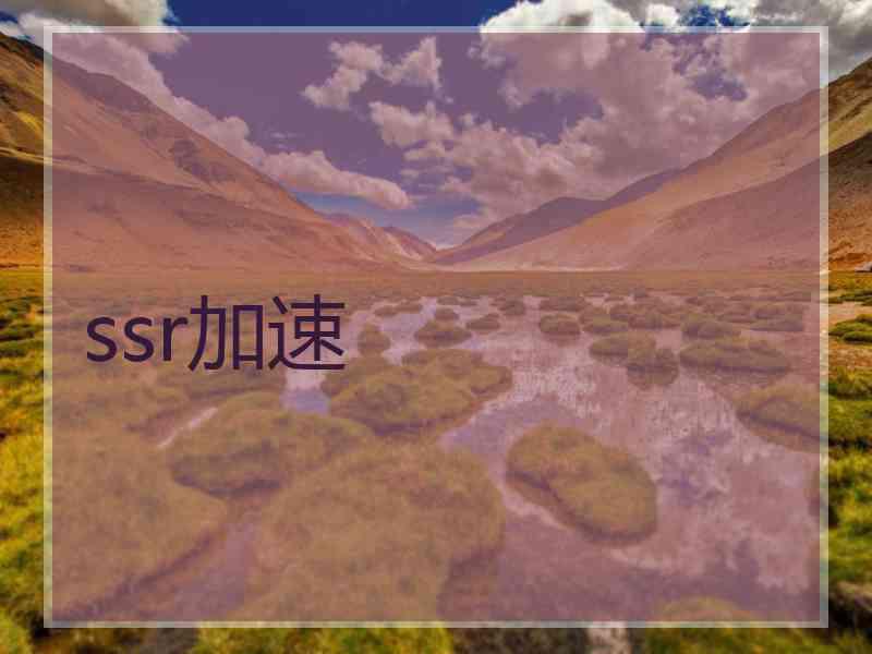ssr加速