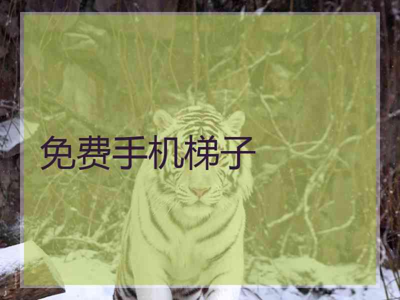 免费手机梯子
