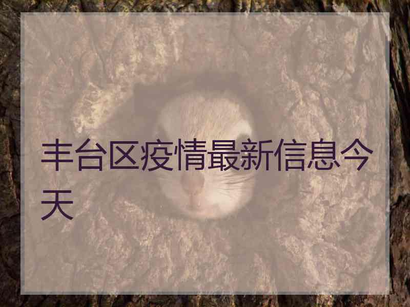 丰台区疫情最新信息今天