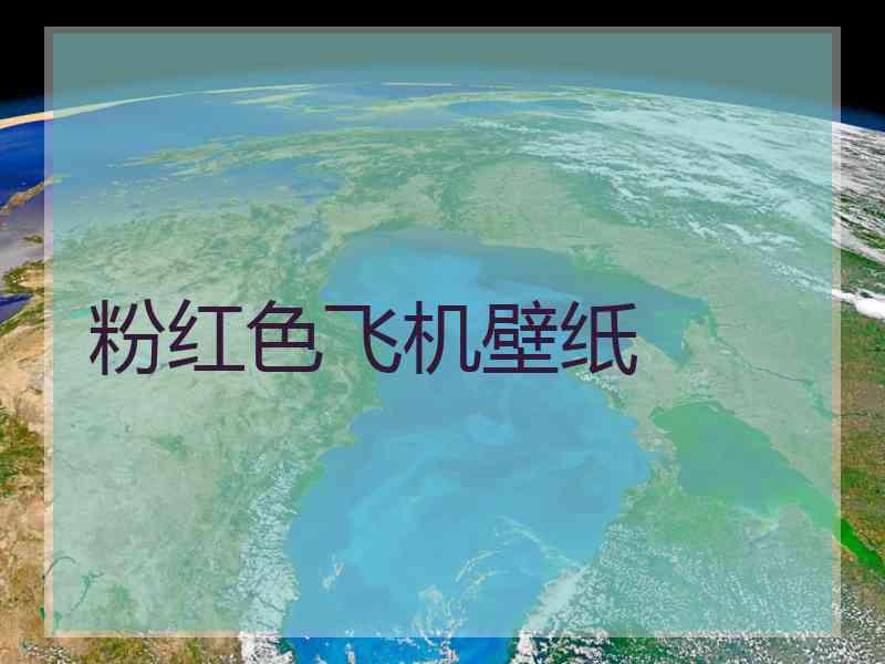 粉红色飞机壁纸