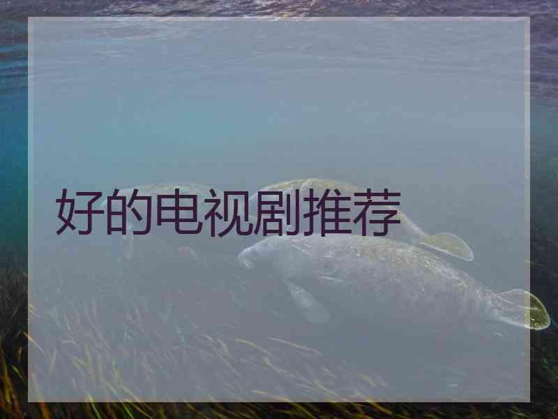 好的电视剧推荐