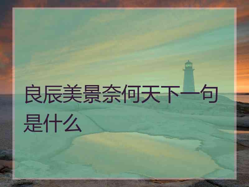 良辰美景奈何天下一句是什么