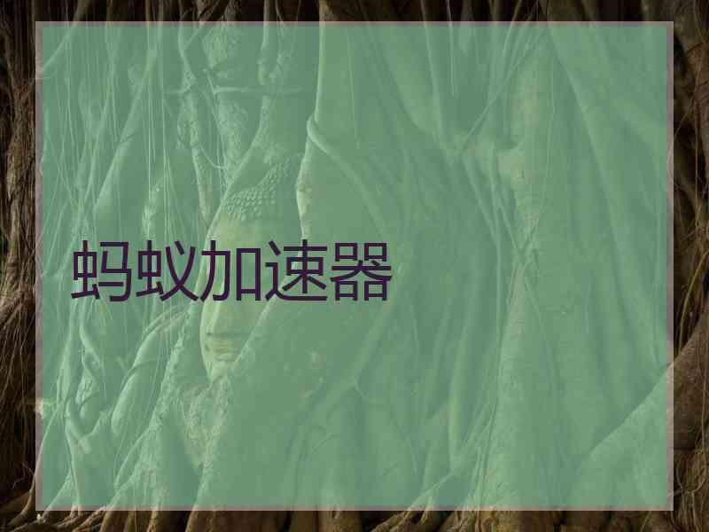 蚂蚁加速器