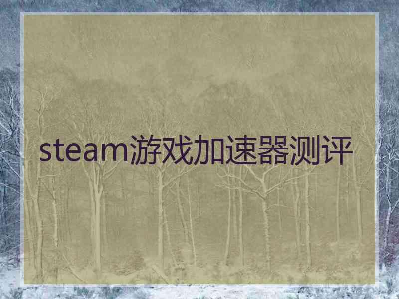 steam游戏加速器测评