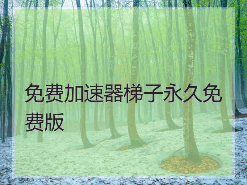 免费加速器梯子永久免费版