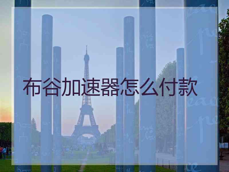 布谷加速器怎么付款