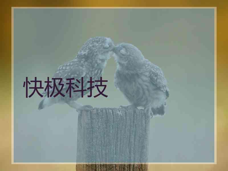 快极科技