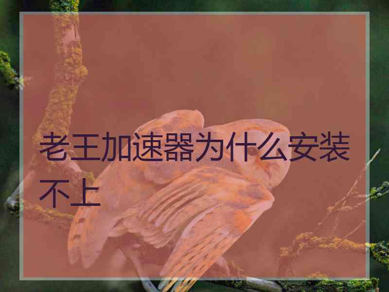 老王加速器为什么安装不上