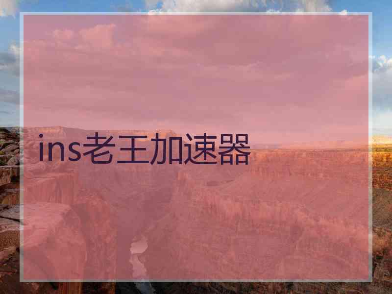 ins老王加速器