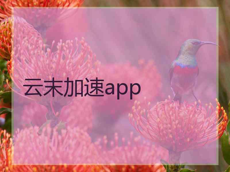 云末加速app
