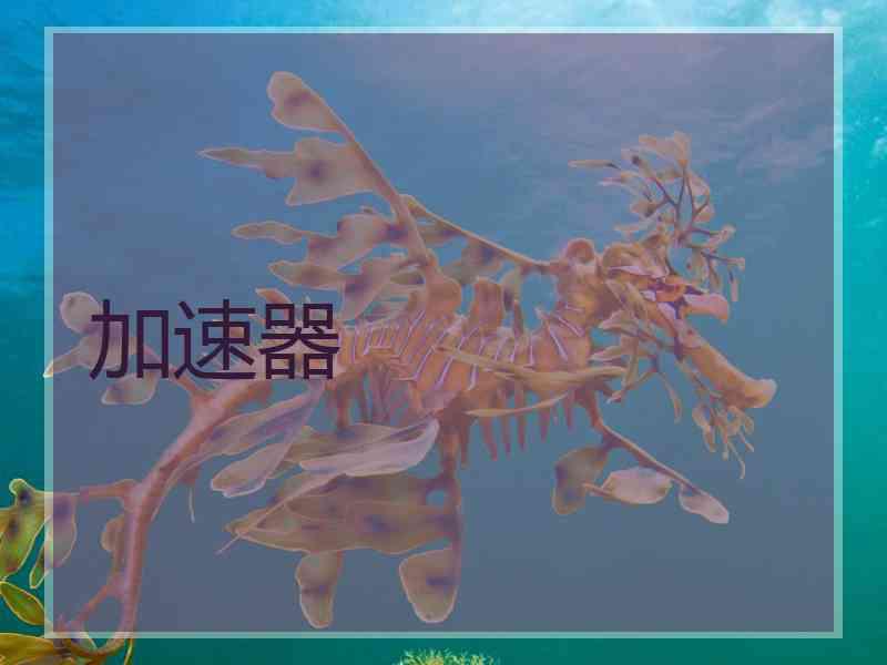 加速器