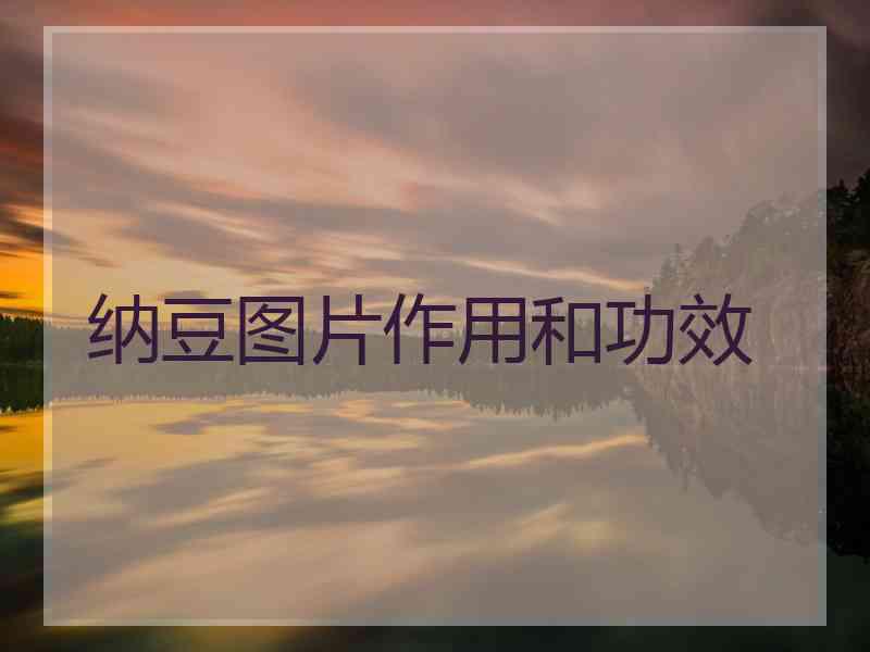 纳豆图片作用和功效