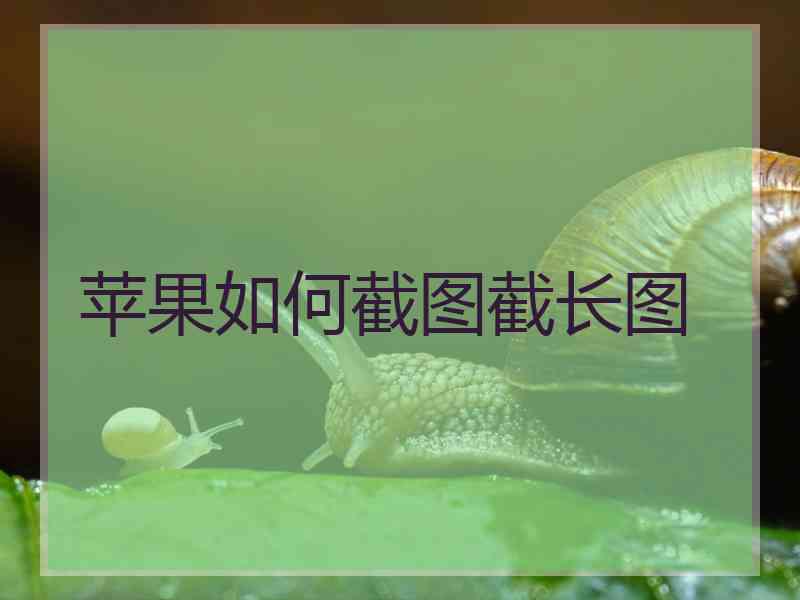苹果如何截图截长图