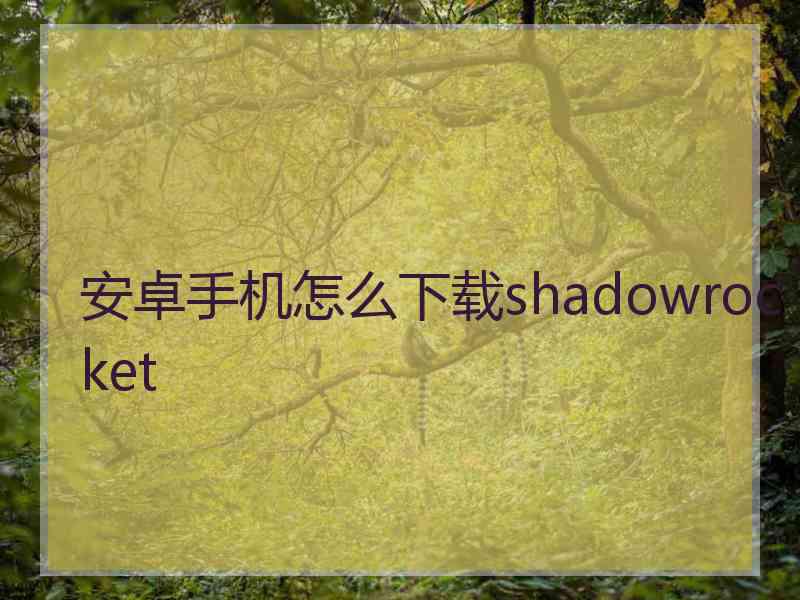 安卓手机怎么下载shadowrocket