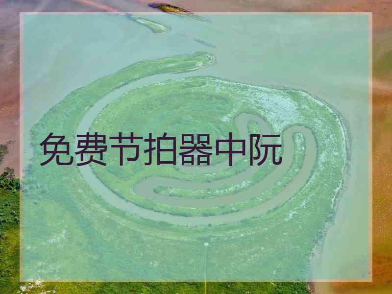 免费节拍器中阮