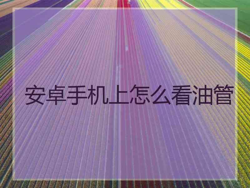 安卓手机上怎么看油管