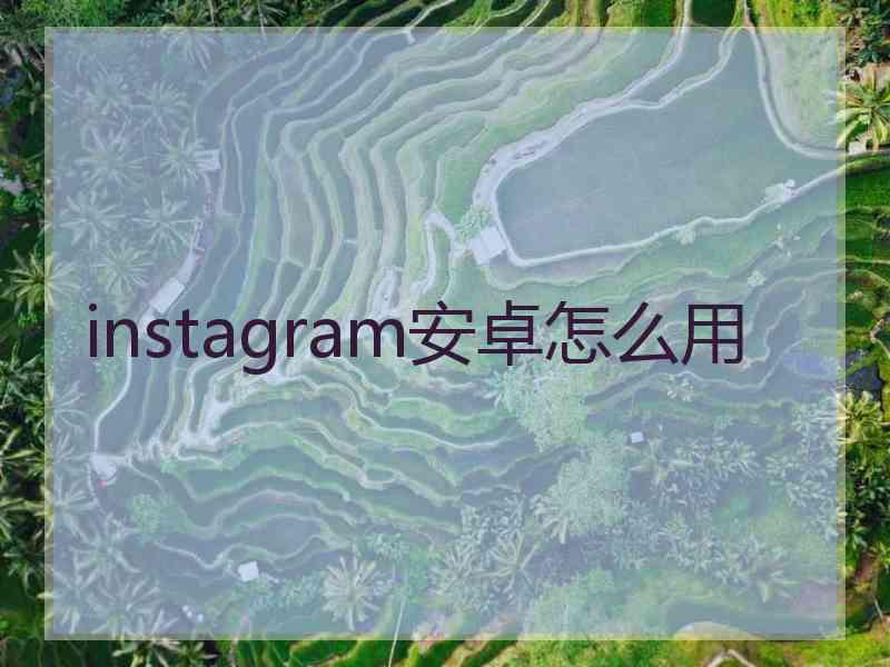 instagram安卓怎么用