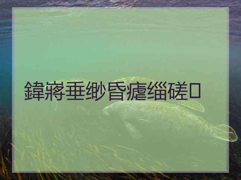 鍏嶈垂缈昏瘧缁磋