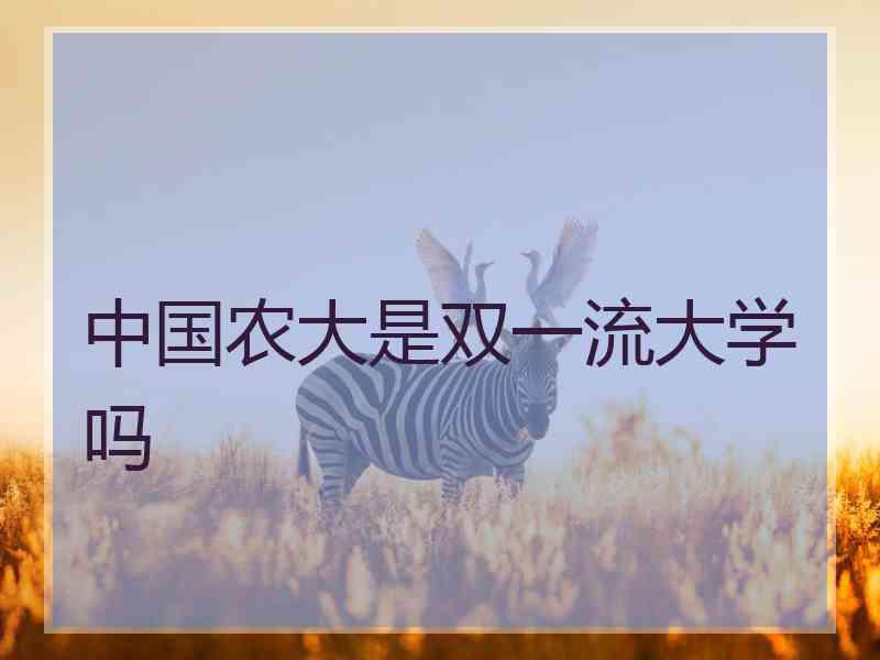 中国农大是双一流大学吗