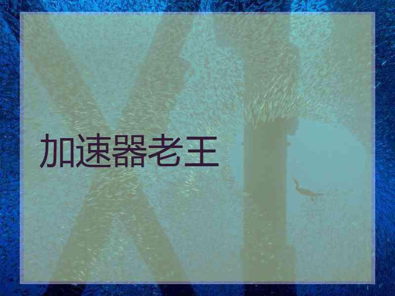 加速器老王