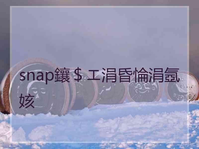 snap鑲＄エ涓昏惀涓氬姟